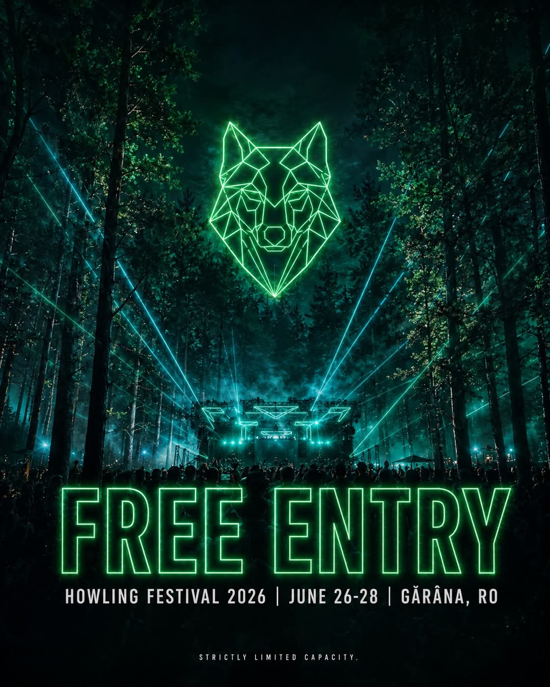 A spruce forest at Gărâna, the setting of the Howling festival