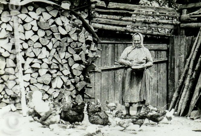 Frau in Tracht, die im Hof das Geflügel füttert, neben dem gestapelten Brennholz